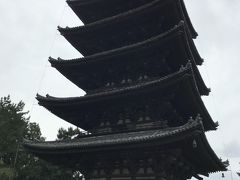 少し歩いて興福寺へ。五重塔です。
国宝東金堂で木造十二神将立像と四天王立像が展示されてましたので見てきました。