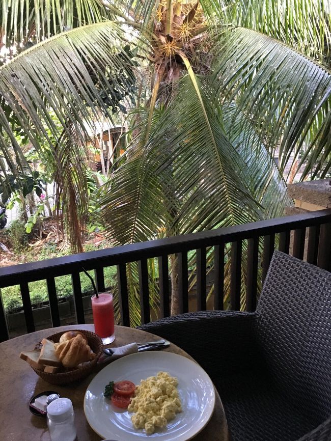 こんな木がすぐ横に。