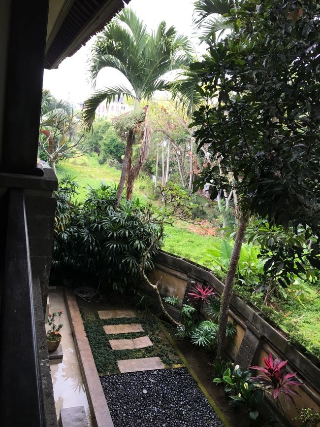 ベランダからの眺め