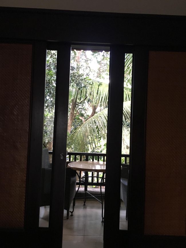 部屋からベランダを見たところ<br />近寄ってみたところ<br /><br />（しつこい）