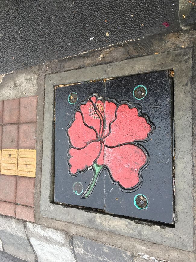 けっこう道がぼこぼこなので足元も見ながら歩く。。