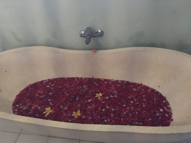 フラワーバス！！<br />昼間にお風呂入るって、なんだかとても優雅な気分になれて<br />大好きです！！<br /><br />しかもプルメリア入りのフラワーバス！！<br />