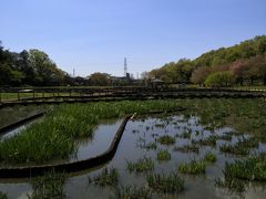 北山公園