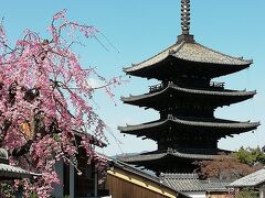 法観寺 八坂の塔
素敵なスポット
絵になるね