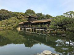 それでも美しい京都の日本庭園に癒されました。