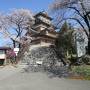 高島城と高遠城址の桜