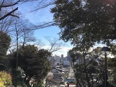 長い石段を昇って本門寺の境内へ。
振り返ると池上の街がかなり下の方に見えました。
