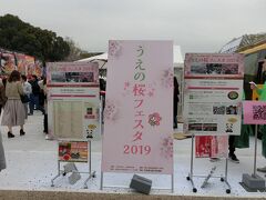 上野公園では「うえの桜フェスタ2019」をやっていました。