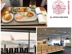 今日は長時間の移動なので羽田まではFクラスにしました。こんな人のいない羽田空港は初めて・・・JALのエアバス機がいました。羽田で石垣行き直行便に乗継。