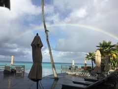 今朝は短時間のスコールがあり、虹が見えました。