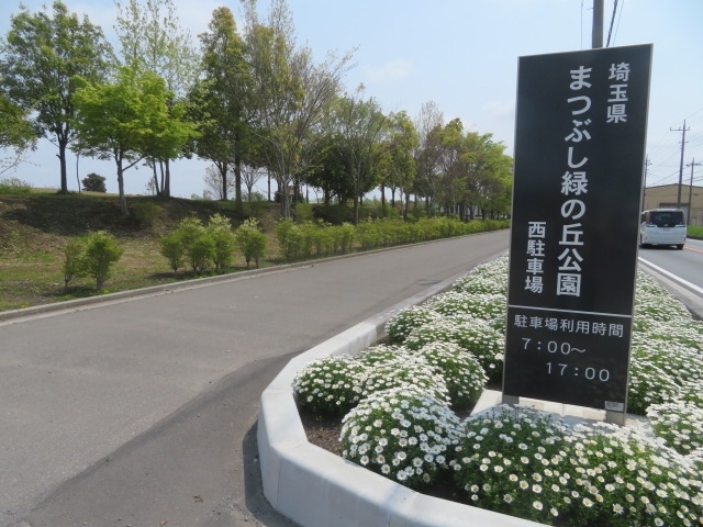 松伏町にある埼玉県営の まつぶし緑の丘公園 を散策 三郷 吉川 埼玉県 の旅行記 ブログ By タビガラスさん フォートラベル