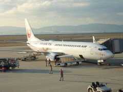 8：15発の那覇行き、うちなーの翼・日本トランスオーシャン航空（JTA）NU001便に搭乗します。

ジンベエジェットに乗りたかったのですが、この日は特別デザイン機「空手ジェット」です。
沖縄は、空手発祥の地とのことです。
搭乗機材：B737-800。
機体番号：JA03RK。