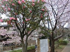 少し川からそれて菅刈公園へ