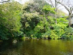 境内の東側に、富士山の湧水が涌く「湧玉池」があります。