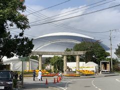 辺野古を後にして、まだ時間があったので、宜野座の阪神キャンプを見てみることにしました。