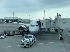 那覇空港へと到着いたしました。今回乗る那覇―伊丹の飛行機は、行きと同じB787でした。