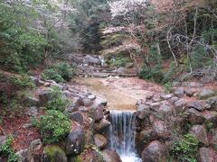 夏は気持ち良さそう