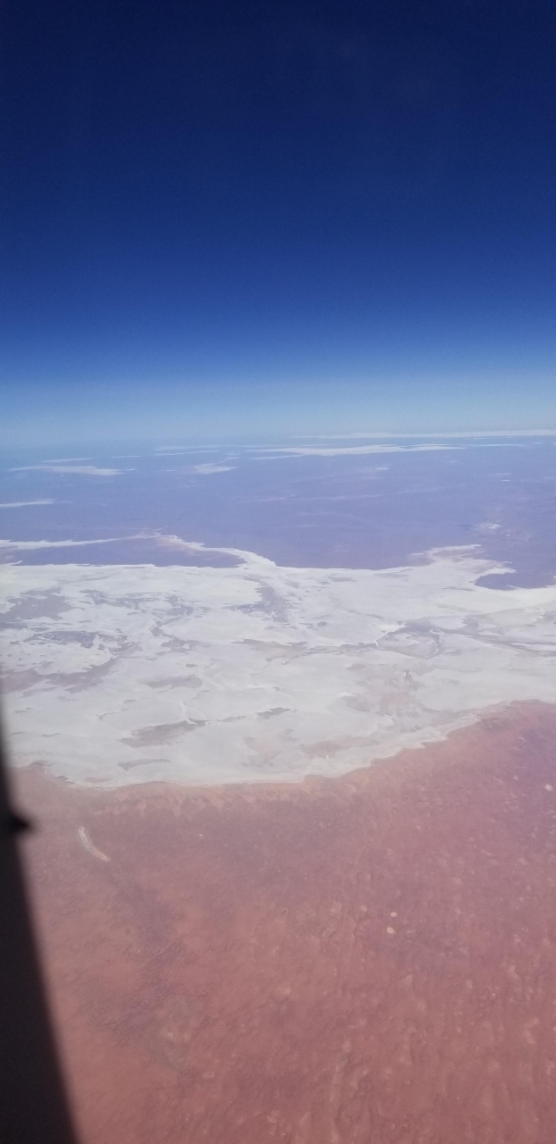 この白いものは何でしょうか？