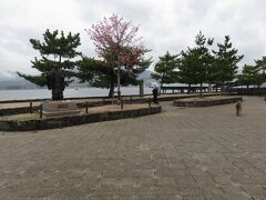 歴史が全くダメで平清盛がどういった人物なのかも知りません