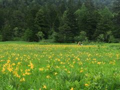到着！！

ニッコウキスゲの群生地「大江湿原」
