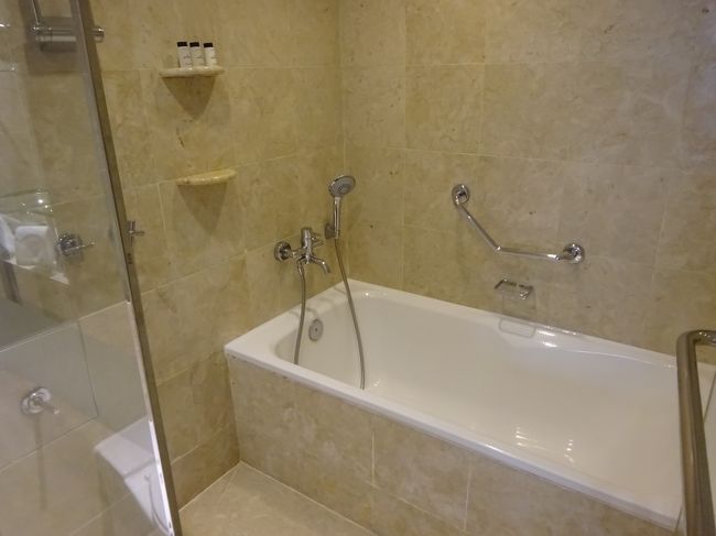 バスタブもあり、シャワーも固定ではなく使いやすいです。