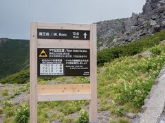 実は、乗鞍には手軽に登れる山がいくつかあります。
今日は軽装備のため乗鞍岳は厳しいと思っていましたが、色々と山があって満足できました。

こちらは、「魔王岳」という山。名前に衝撃を受けました、笑