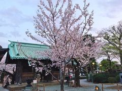 目黒川から祐天寺へ