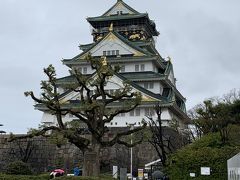 御朱印もいただいたので大阪城を見学。コロナの為天守閣には入れないので外からみるだけ。