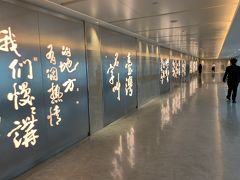 台湾桃園国際空港 (TPE)