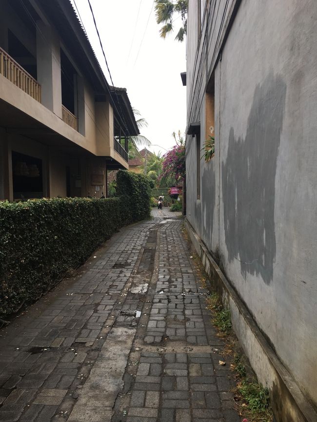 この細い道をずっと進む