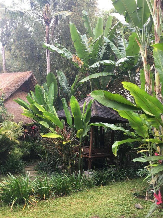 クラスまでにはまだ時間あるので<br />敷地内を散策<br /><br />すごい・・<br />1日中いれそう<br />しかも入場は無料笑<br />他の人たちも、本を読んだりごろごろしたりしてる<br />今度来るときはもっとゆっくりしたいな～～<br />ほんとに何もしないでただそこにいるだけ、、という数日をバリで過ごしたい・・　<br />日本ではたまに週末そうなるけど