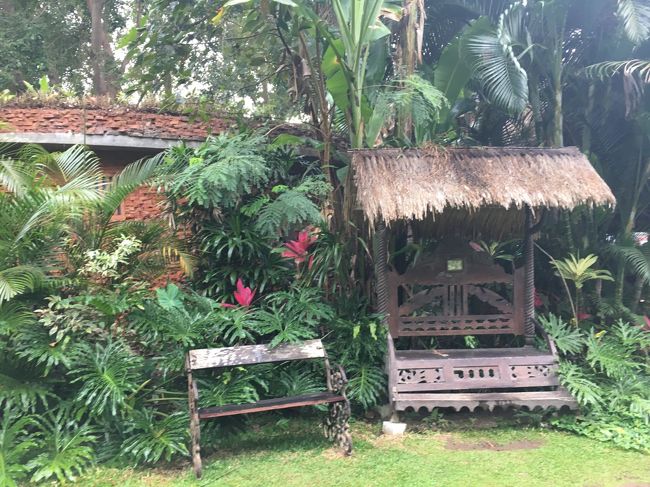 町中からちょっと入ったところでこれって・・<br />すごいな～～<br /><br />わたし虫苦手だけとそんなに遭遇しなかった<br />見るからにいそうなのに～～<br />（アリとか小さい虫はいましたよ、でもチョウチョとかセミとか個人的に恐れている種類を見なかった）