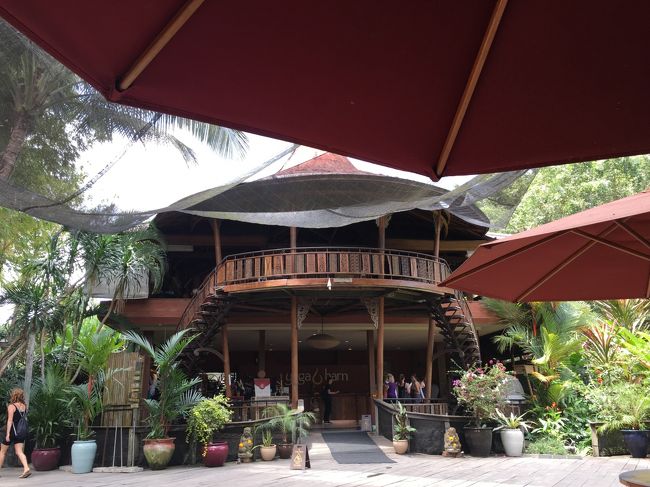 カフェからは受付も見える<br /><br />来てよかった～～<br />またゆっくり来たい！！<br /><br />ほんと広くて私が今回見たのはYogabarnの<br />ほんの一部なのでしょう・・