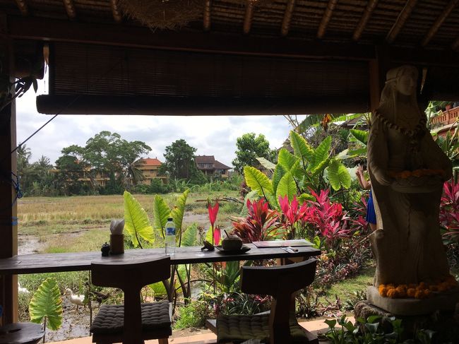 ここの席座りたかった・・<br />けど入った時には人がいたので内側のテーブル席に。