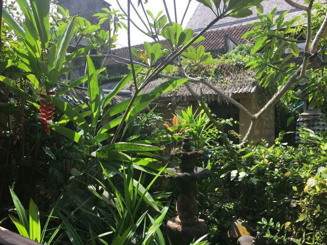 周りには木がたくさん