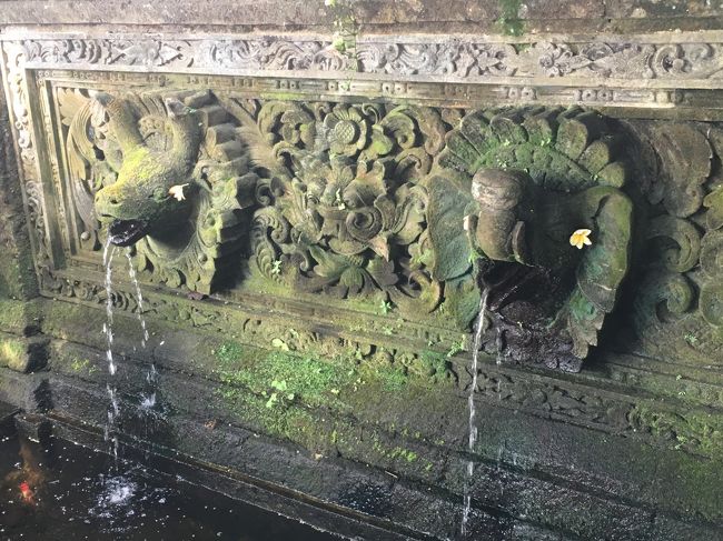 カフェの表にある水辺<br />この花はどうやってつけたんだろう・・