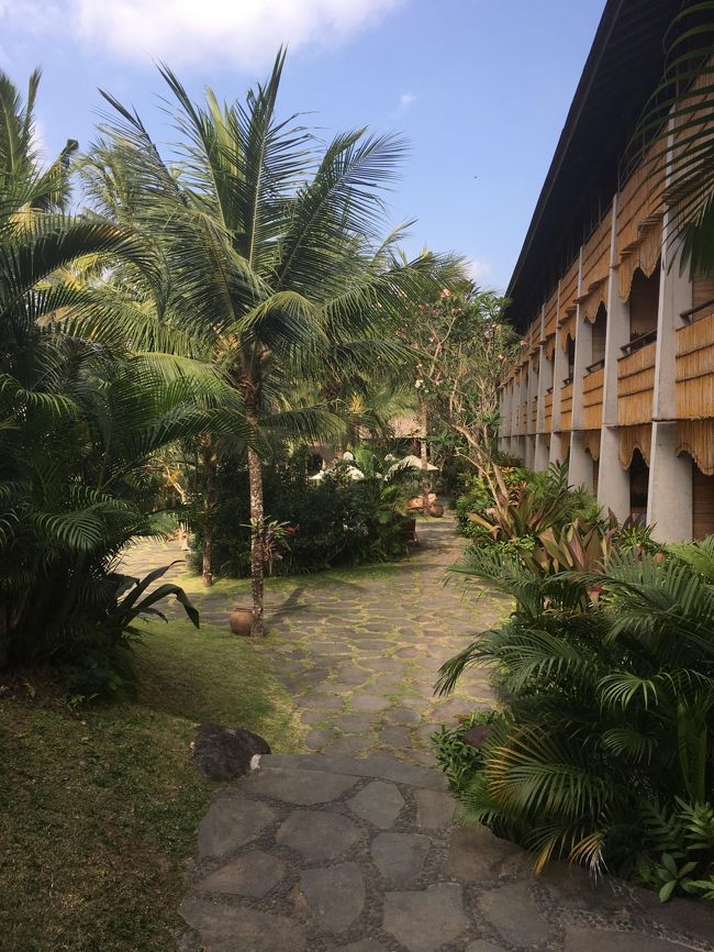 ３PMから、Dala Spa<br />マニスクレポンコースを日本から予約していきました。<br /><br />Alaya Ubudホテルの奥の方にあるスパ<br />中庭を通り抜けて・・<br />今度はこういう高級ホテルにも泊まってみたいな～