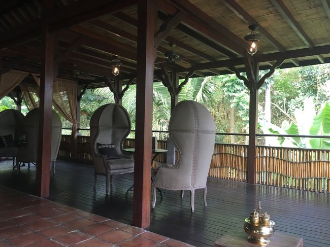 ネットで見た椅子だ～<br />座ってみたい！！