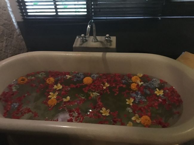 お待ちかねの～～<br />セブンフラワーズバス！！<br /><br />いろんなコースがあって迷ったけど<br />このフラワーバスが決め手となってこのコースに！