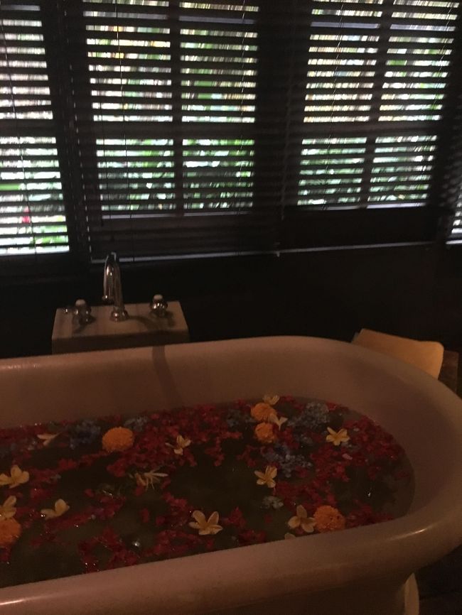 外はこんな感じで少しだけ見えます