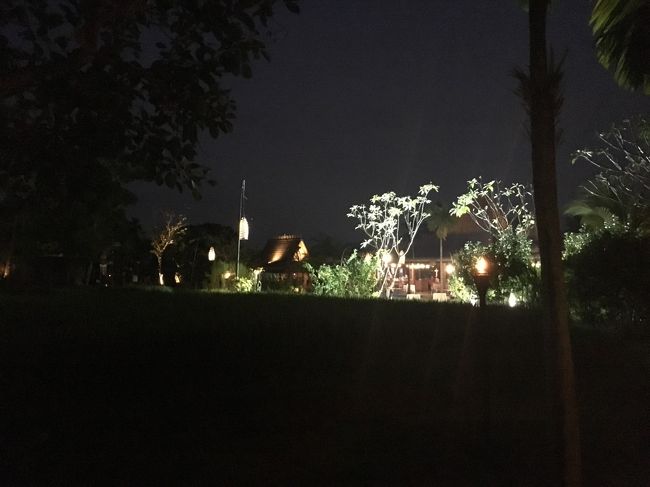 もうすっかり夜・・<br /><br />中庭でバリのガムラン音楽が演奏されてました<br />癒される～～