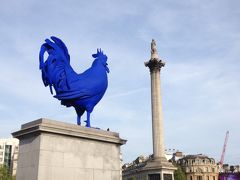 46mもあるネルソン記念柱。

そして、
2013年7月から1年半だけの期間限定のオブジェの雄鶏はドイツ人アーティストの作品。

雄鶏は実はフランスの象徴の鳥らしく、ナポレオンがニワトリになってトラファルガー広場に戻って来た！
と揶揄され、当時とても話題になったそう^^;

