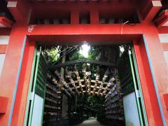 亜熱帯植物が島全体を覆い尽くす青島だが、そのジャングルの中にあるのが青島神社の絵馬の回廊。  