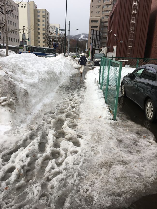 ♪ガマンだ、待っていろ~。コロナが過ぎりゃ~。やがてクルクル春が来る~。の札幌の去年…。