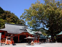 青岸渡寺の境内を抜けると、熊野那智大社の拝殿の前に出た。
熊野三山詣、最後の社である。
鮮やかな朱塗りの拝殿は、平重盛の手植えと伝わる樟の大木に守られているかのようだ。