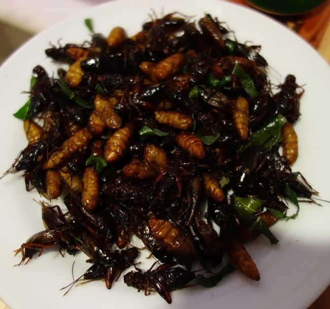 コオロギ　蚕　？　市場で買ってきたようです。　俺は要らねーぞ！