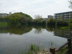 白幡湖の南岸です。

湖畔のビルと白幡中学校が見えます。

白幡中学校のはるか奥に、浦和PARCOも見えます。