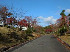 　この先にある宝ヶ池から見た国際会館は、比叡山を借景にして絵になります。