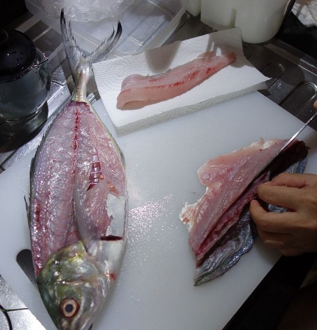 （35センチぐらい）この市場でもあまり見かけない大きさである。<br />夕方、刺し身にしています。