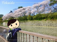 駿府城公園は静岡まつりの日。大御所は風間トオルさんとのポスターを目にしましたが。歩くので見れませんよ。
